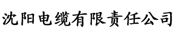 91香蕉视频导航污电缆厂logo